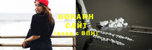 кокс Магас