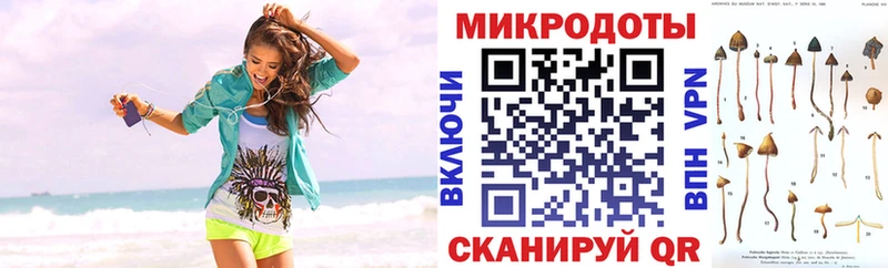 Галлюциногенные грибы GOLDEN TEACHER  где купить наркотик  Звенигово 